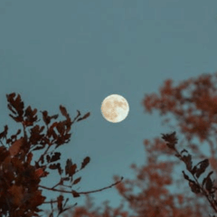 Imagem ilustrativa da lua cheia.