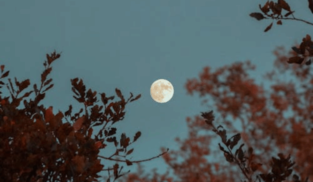 Imagem ilustrativa da lua cheia.