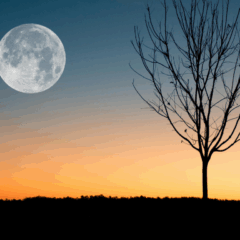 Imagem ilustrativa da lua cheia.