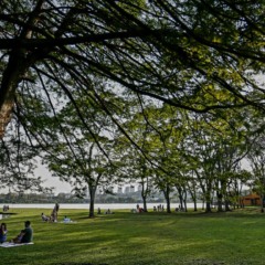 pessoas no parque para ilustrar dias de calor depois da frente fria no paraná