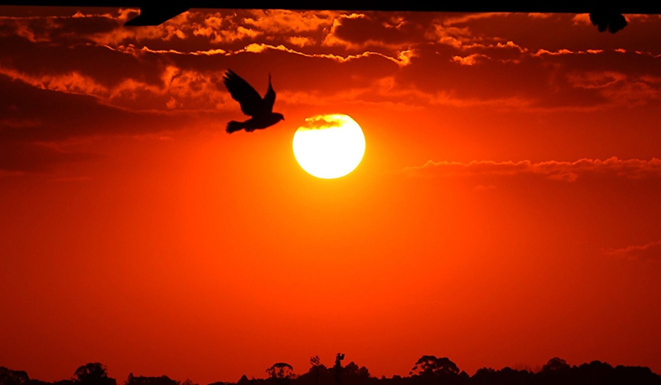 foto de sol para ilustrar sensação térmica em Guaraqueçaba