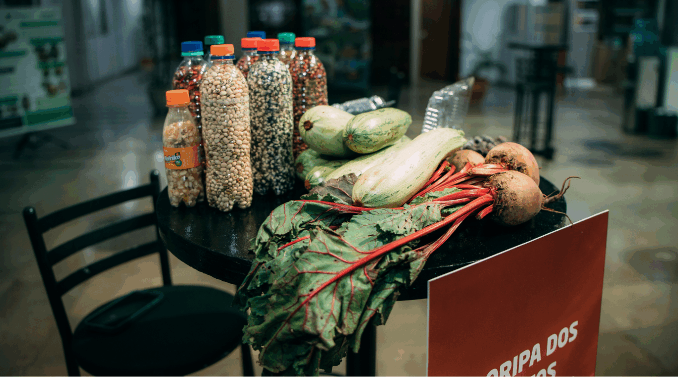alimentos colhidos em horta e expostos no Orgulho da Terra