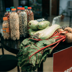 alimentos colhidos em horta e expostos no Orgulho da Terra