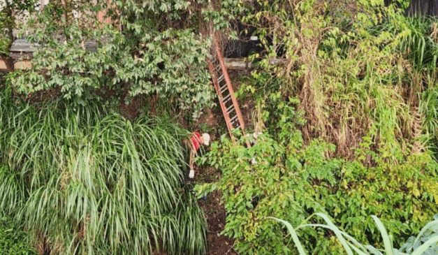 Bombeiro retirando o corpo de jovem encontrado morto às margens do Rio Palmital, em Pinhais.