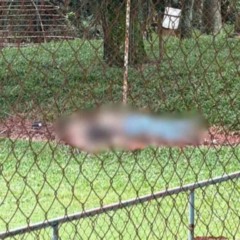 Corpos são encontrados em campinho de futebol em Cascavel