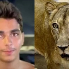 Jovem e leoa envolvidos em tragédia