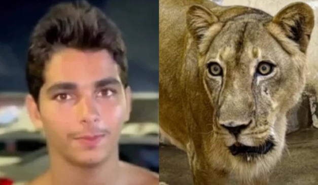 Jovem e leoa envolvidos em tragédia