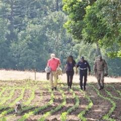 mulher desaparecida encontrada no Paraná
