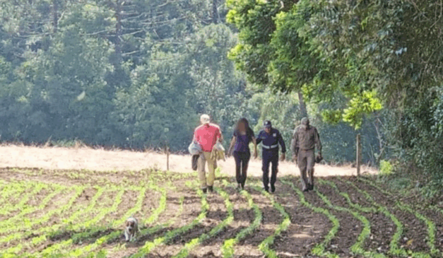 mulher desaparecida encontrada no Paraná
