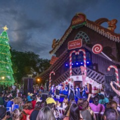 Festa das lanternas.