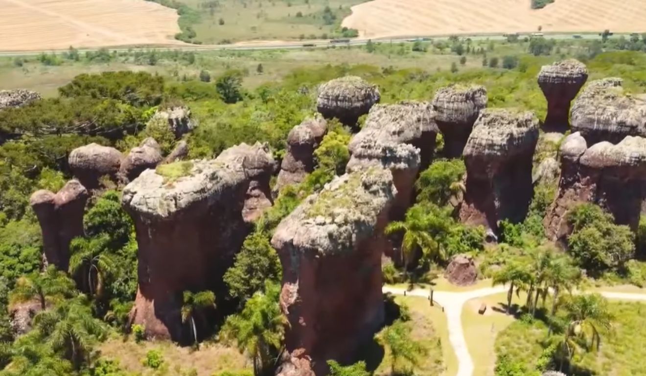 destino da série: campos gerais