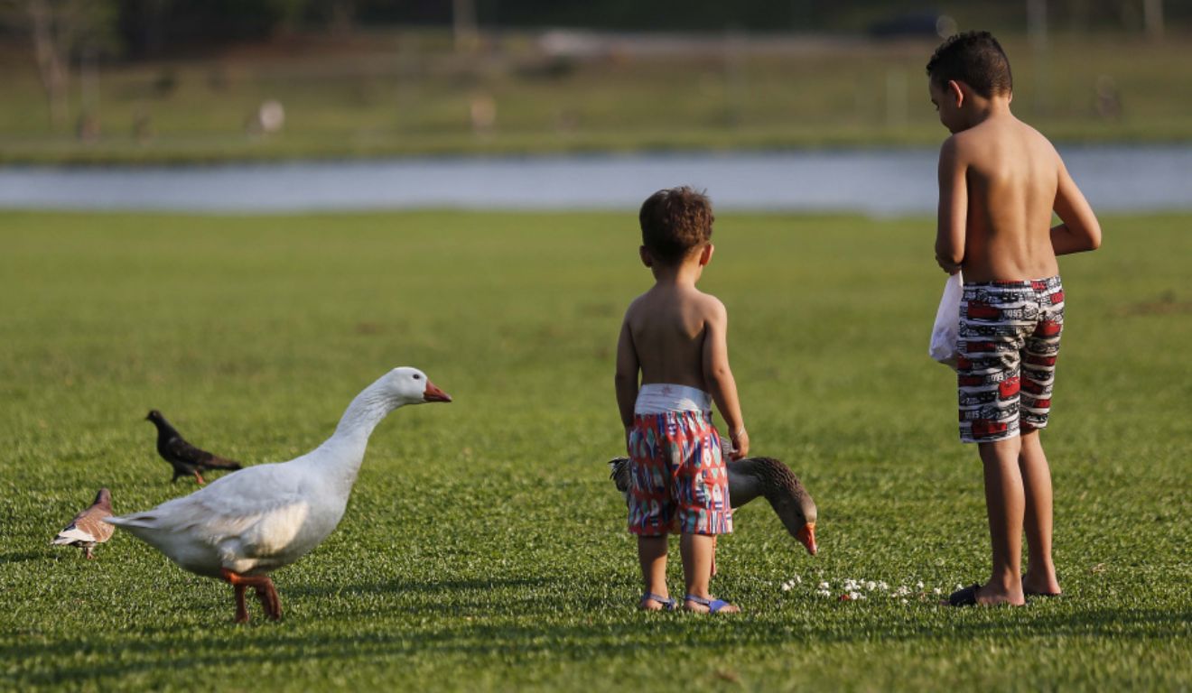 previsão do tempo janeiro paraná