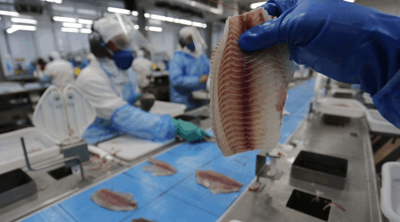 tilápia em um açougue