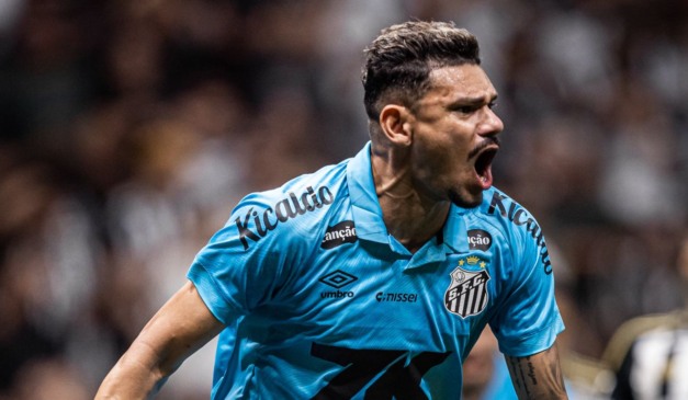 Tiquinho Soares, atacante do Santos.