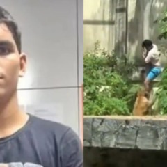 Vaqueirinho, jovem morto por leoa