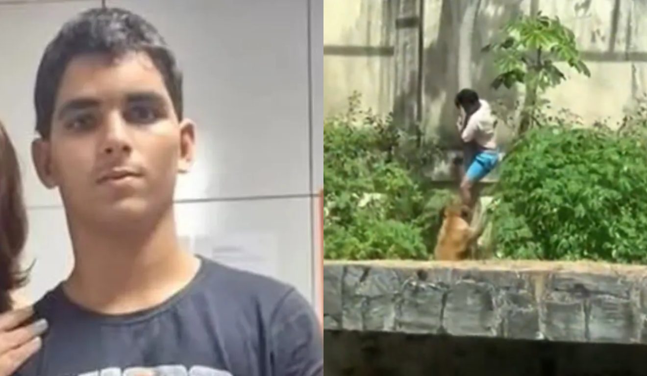 Vaqueirinho, jovem morto por leoa