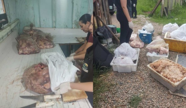 colagem com fotos de açougue clandestino em fazenda rio grande