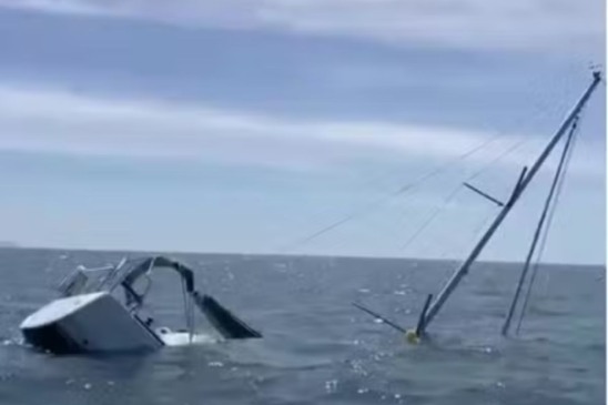 Orcas afundam barcos com estratégia que intriga cientistas