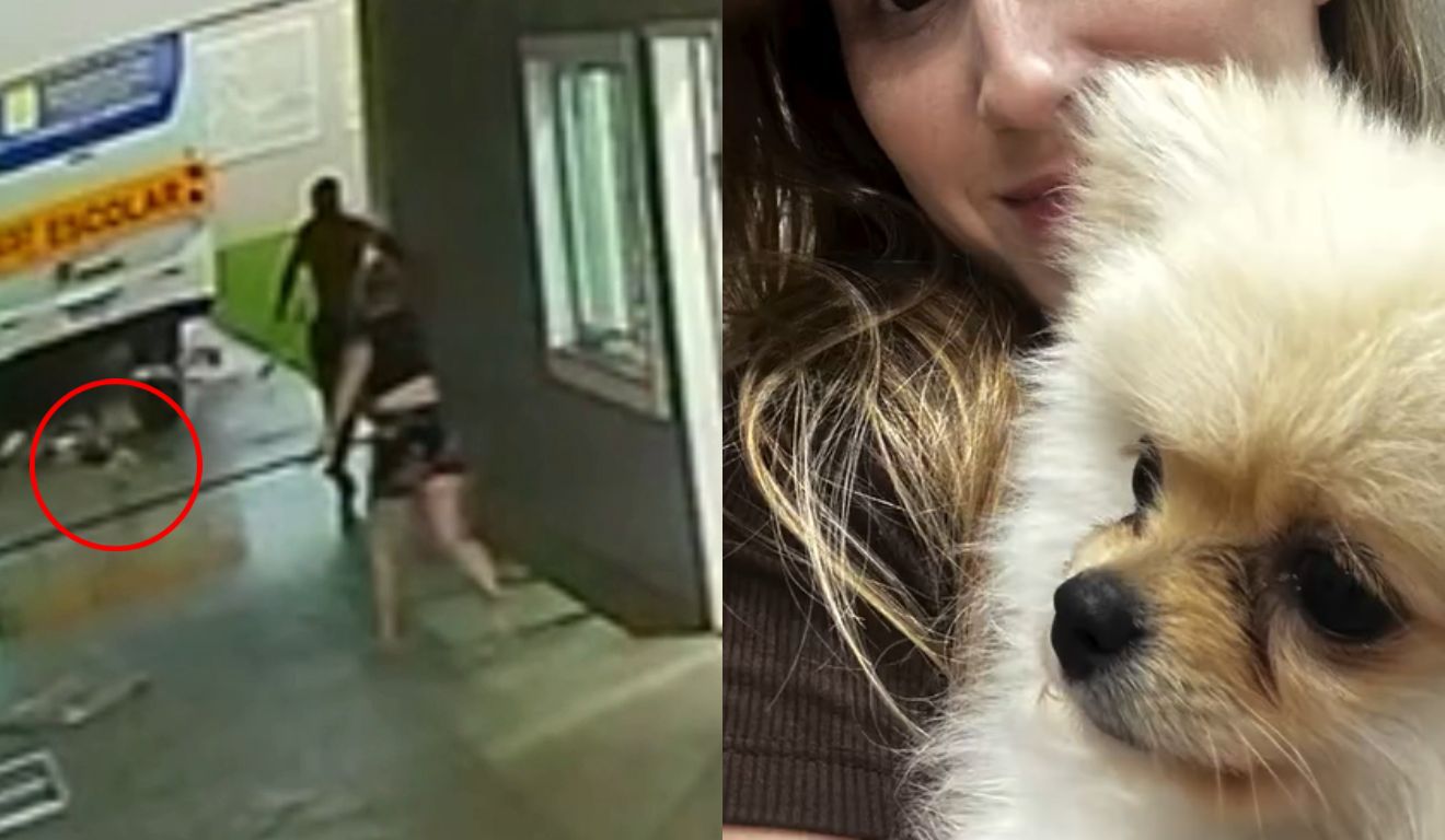 Montagem com imagens do momento do tornado e do cachorro arrastado