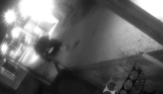 frame de um vídeo onde uma viatura da guarda municipal de araucária atropela um cachorro