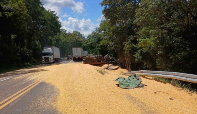caminhão de milho tombado na br-277