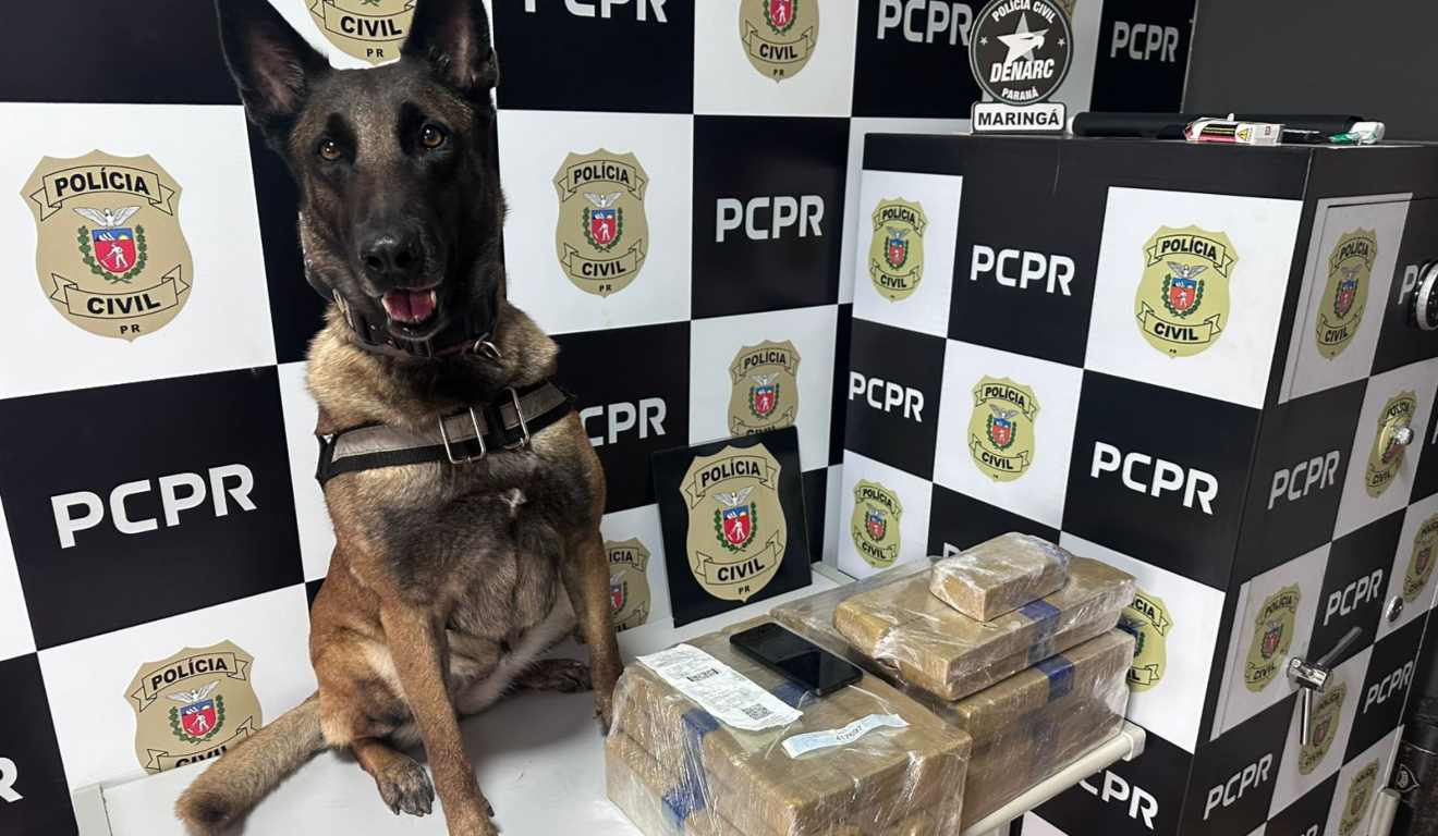 Cão de faro ao lado de droga apreendida
