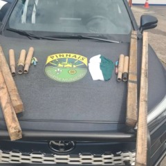 foto de viatura da guarda municipal de pinhais