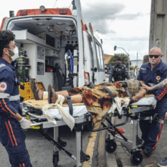 internação involuntária Curitiba