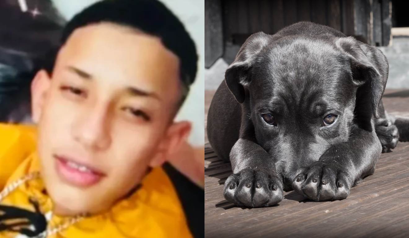 Jovem morto em Ponta Grossa e cachorro em montagem ao lado