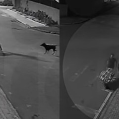 colagem com fotos de mulher esfaqueada sendo carregada em carrinho de m&atilde;o em colombo