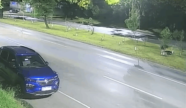 mulher destrói mudas de árvores Curitiba