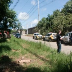 foto de matagal em ponta grossa onde mulher foi encontrada morta seminua