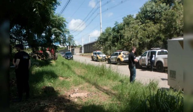 foto de matagal em ponta grossa onde mulher foi encontrada morta seminua