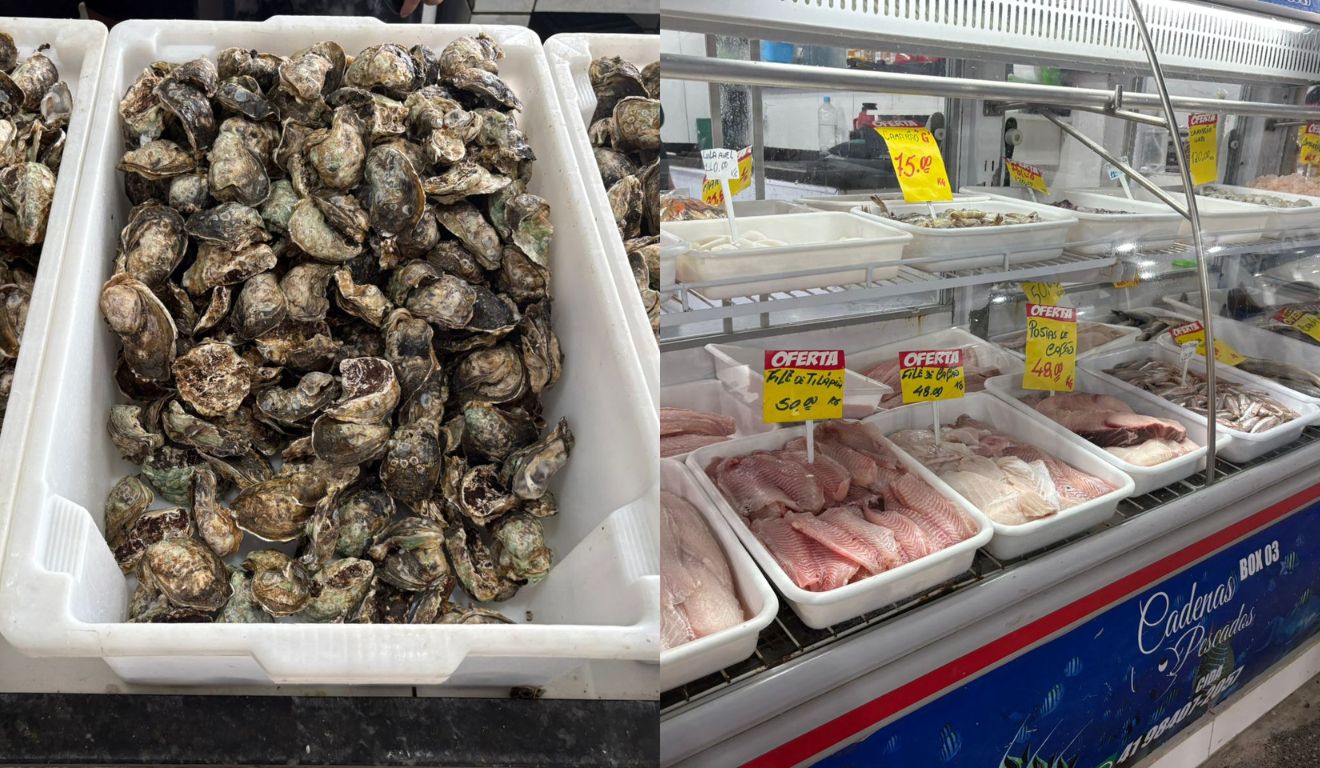ostras e peixes mercado do peixe