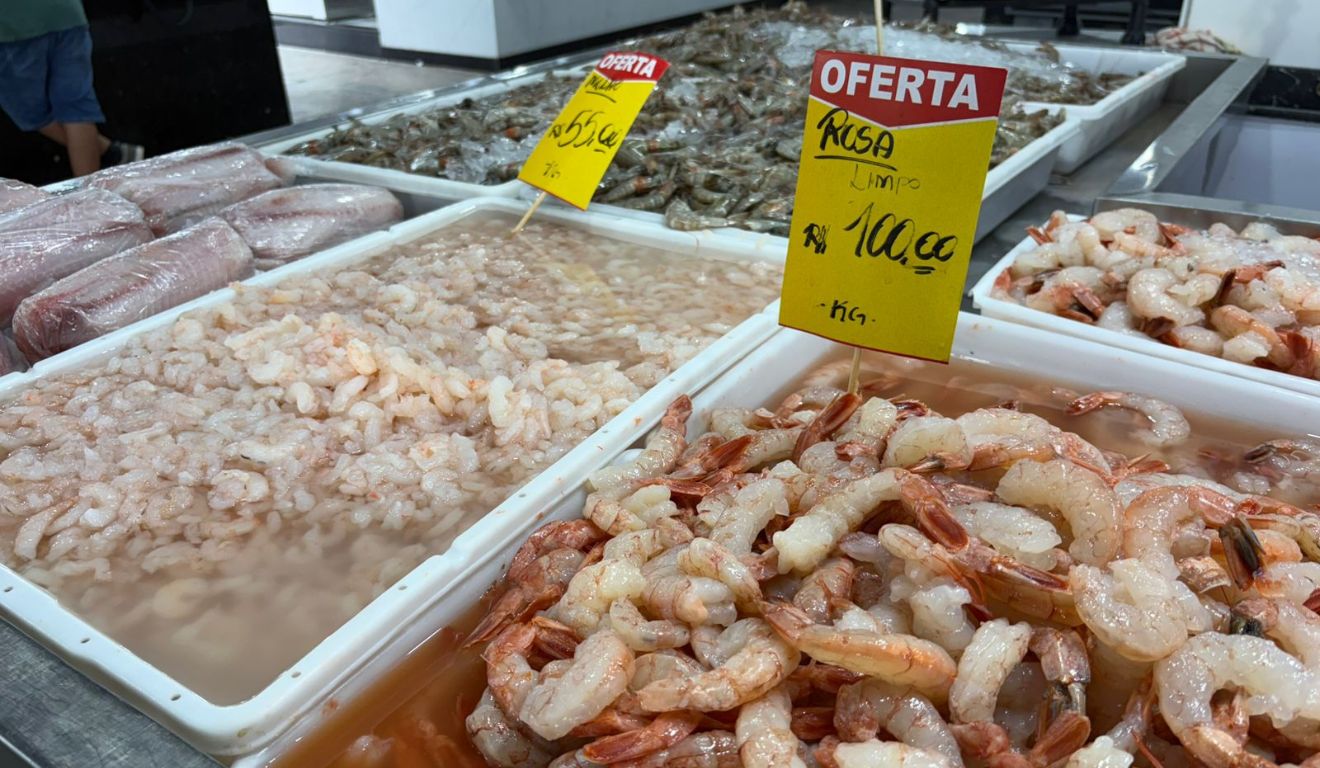 peixes mercado do peixe