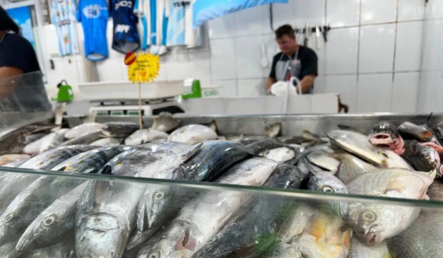 Peixe cavala no Mercado de Pescados em Matinhos