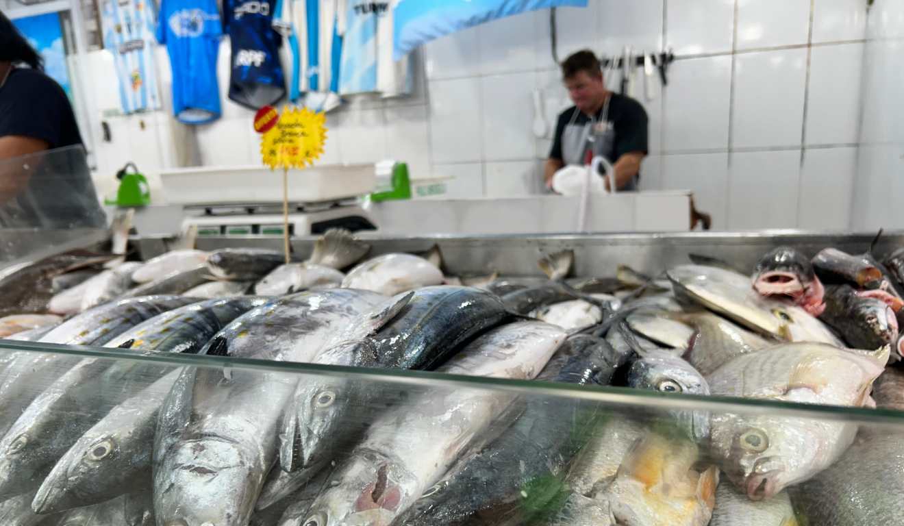 Peixe cavala no Mercado de Pescados em Matinhos