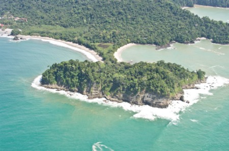 Quando preservar é o melhor negócio Quando preservar é o melhor negócio