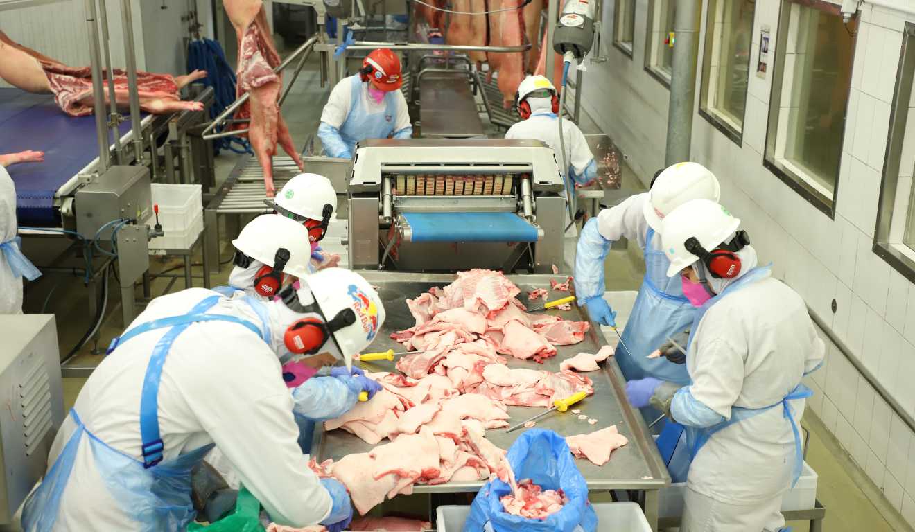 Trabalhadores de frigorífico no Paraná separam carne de frango na esteira.