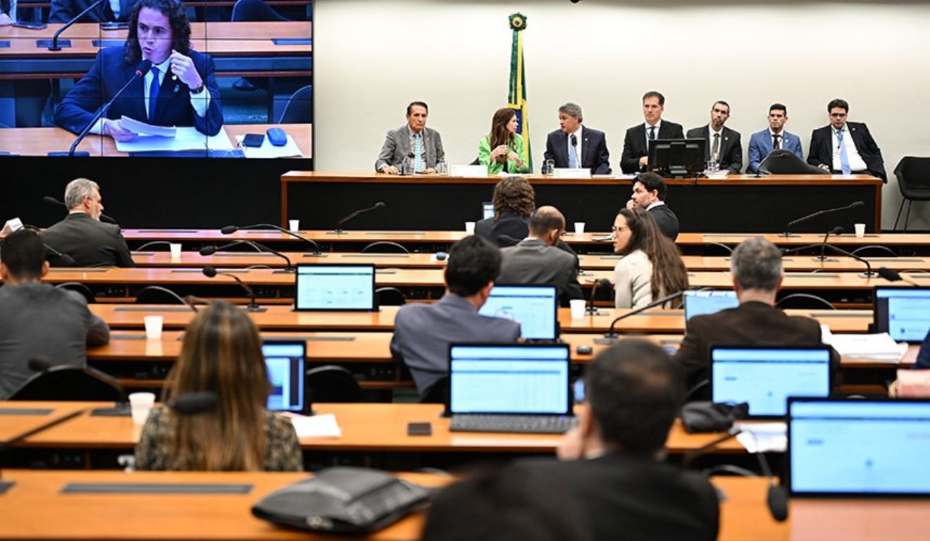 Qual a função do Senado? - Ric.com.br