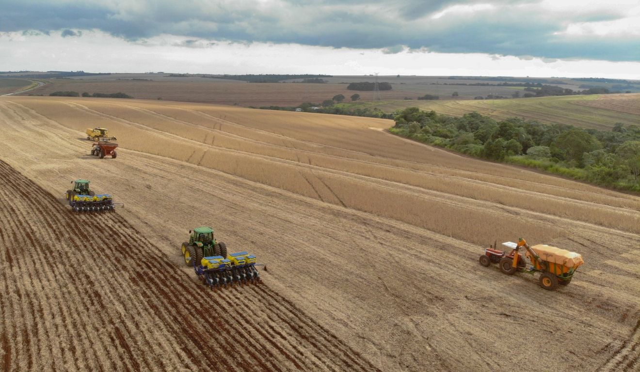 Em destaque: Paraná tem estimativa de colher 4% a mais de soja na safra 2026/2027