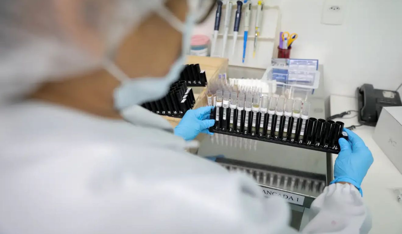 Brasil pode ter primeira vacina nacional contra a malária